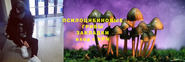 тгк Бронницы