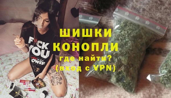 хмурый Верея