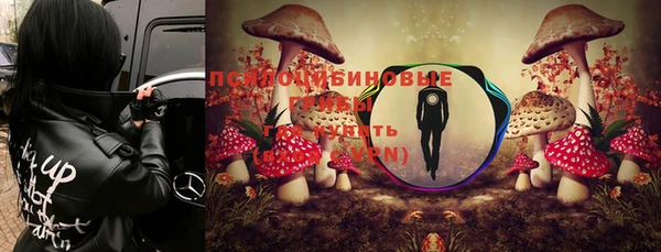 амф Бородино