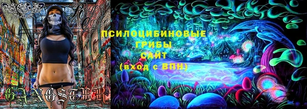 амф Бородино