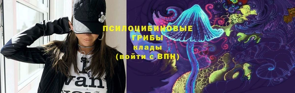 амф Бородино