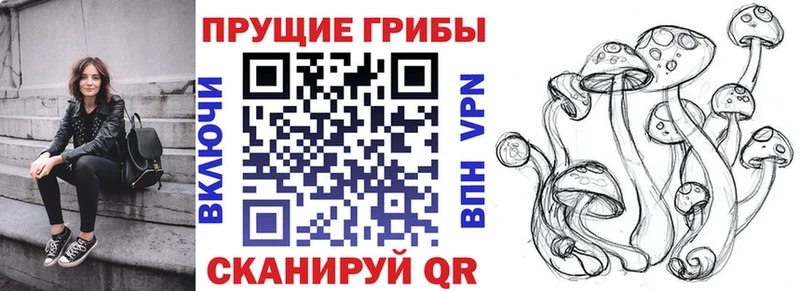 Псилоцибиновые грибы Psilocybine cubensis  Купить где  Новоалтайск 